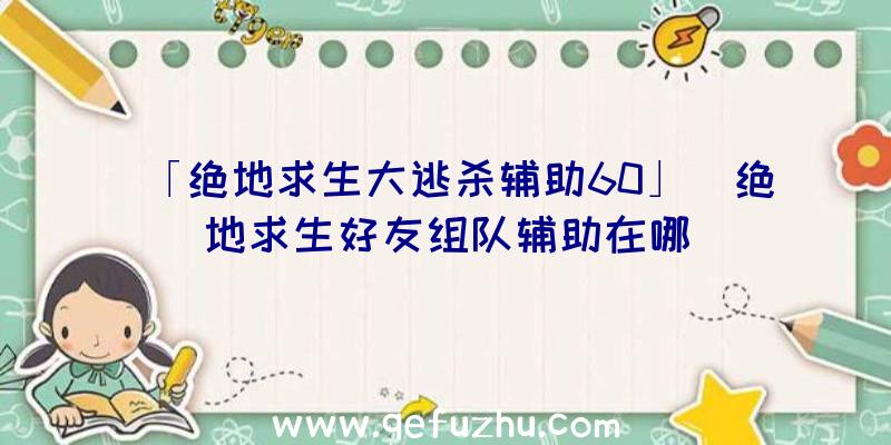 「绝地求生大逃杀辅助60」|绝地求生好友组队辅助在哪